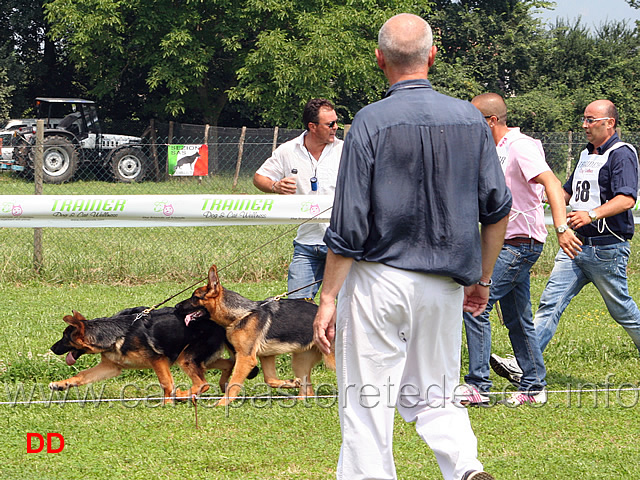 azzardato-tentativo-di-sorpasso.jpg - Azzardato tentativo di sorpasso...