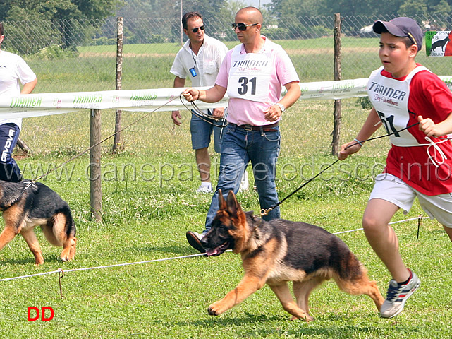 baby-maschi-peppe-della-valle-del-liri.jpg - Baby maschi Peppe della Valle del Liri