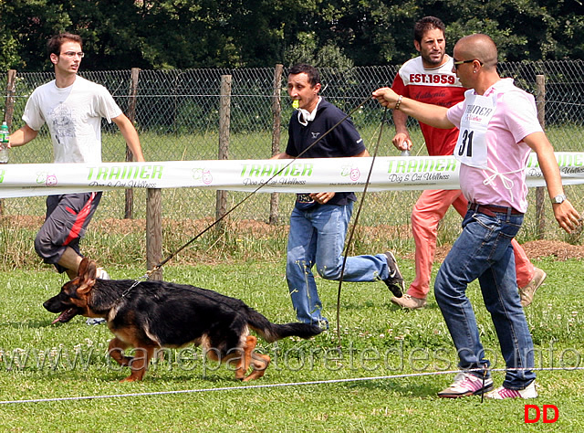 baby-maschi-vegas-degli-achei.jpg - Baby maschi Vegas degli Achei