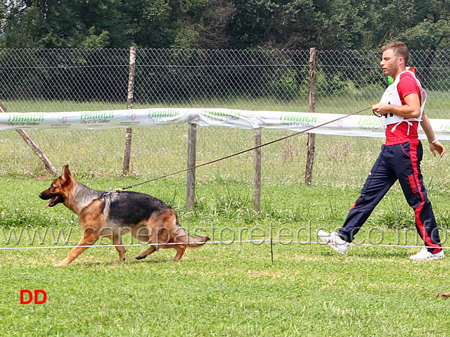 cucciolone-femmine-yuma-dei-monti-della-laga.jpg - Cucciolone femmine Yuma dei Monti della Laga