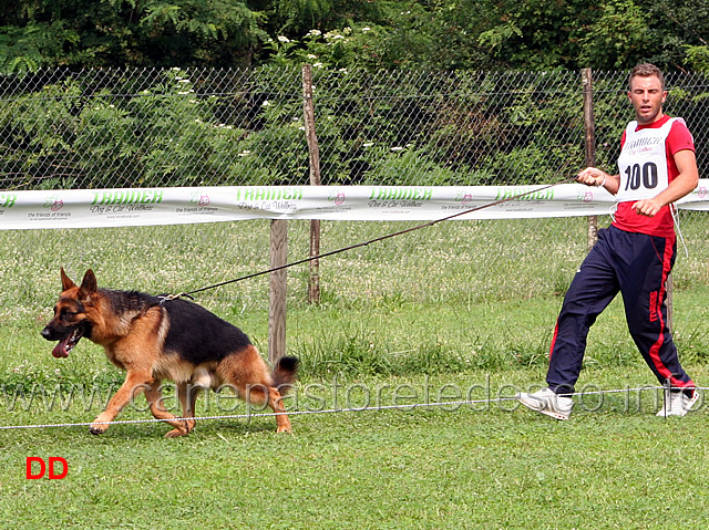 giovanissimi-maschi-ilko-de-casa-do-bento.jpg - Giovanissimi maschi Ilko de Casa do Bento