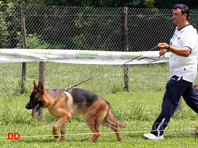 juniores-maschi-argo-di-casa-speranza.jpg - Juniores maschi Argo di Casa Speranza