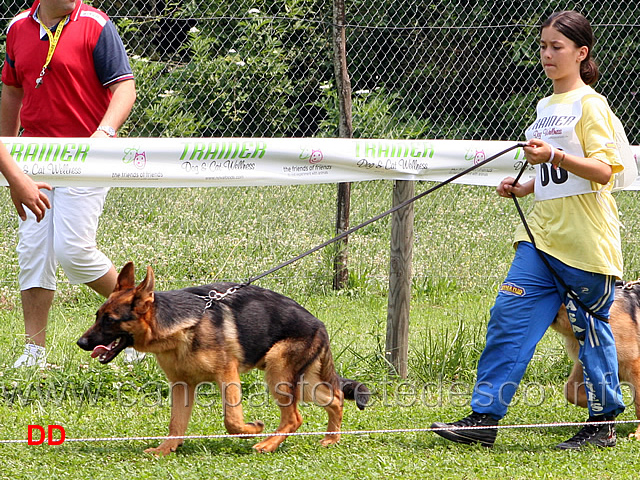 juniores-maschi-gamon-starke-schloss.jpg - Juniores maschi Gamon Starke Schloss