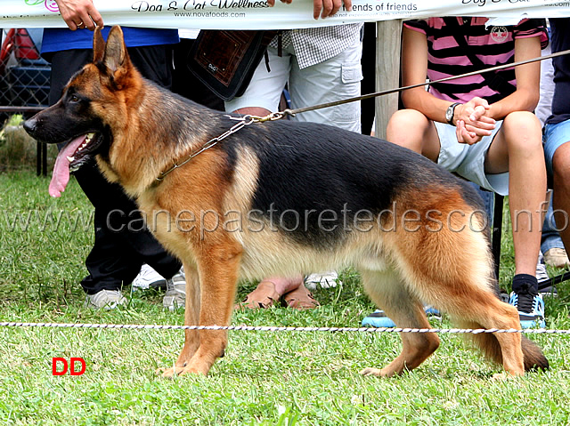 karol-dei-lotito-2-MB-giovanissimi-maschi.jpg - Karol dei Lotito 2 MB Giovanissimi maschi