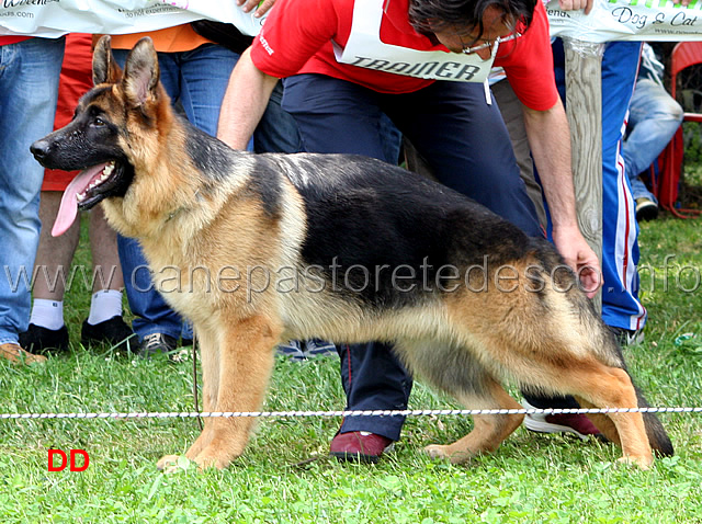 lero-dei-lotito-3-MP-juniores-maschi-.jpg - Lero dei Lotito 3  MP Juniores maschi