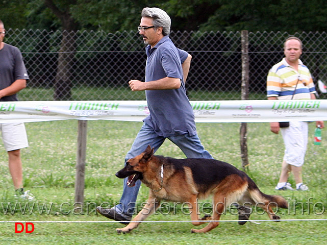 nakros-della-genia-osca-06.jpg - Oreste Palmieri con Nakros della Genia Osca al fuss