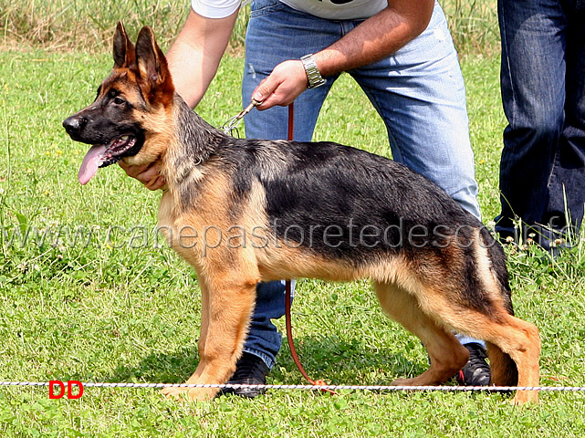 pacros-degli-iapigi-9-MP-baby-maschi.jpg - Pacros degli Iapigi 9 MP Baby maschi