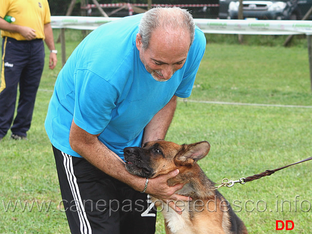 virginio-guida-con-ina.jpg - Coccole per Ina