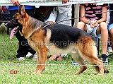 karol-dei-lotito-2-MB-giovanissimi-maschi