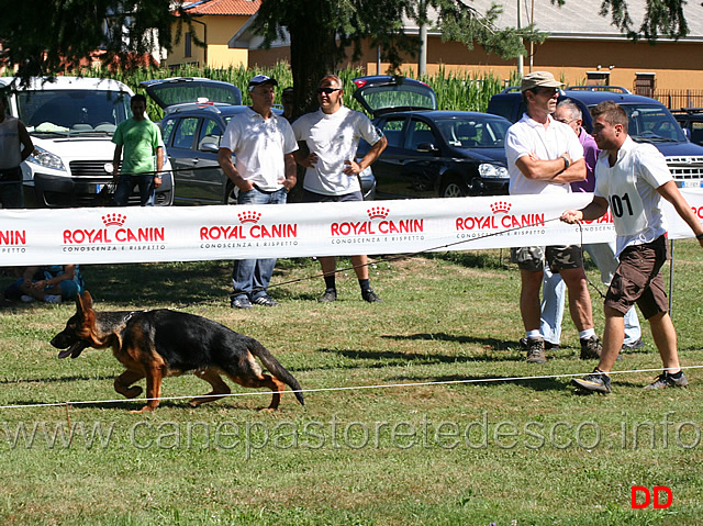 baby-maschi-ciro-team-carrubba.jpg - Baby maschi Ciro Team Carrubba 