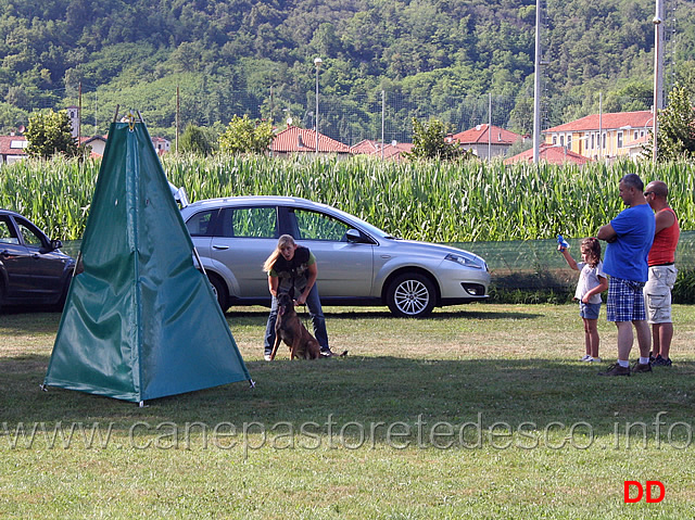 finito-il-sezionale-si-lavora-02.jpg - Finito il sezionale alla SAS Grignasco si lavora!!! (anche con i malinois)