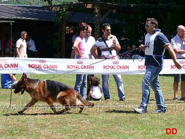 giovanissimi-maschi-kevin-di-casa-schwarz.jpg - Giovanissimi maschi Kevin di Casa Schwarz