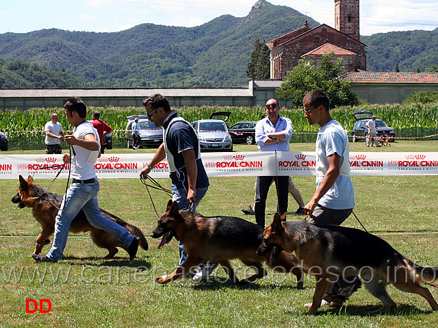 giovanissimi-maschi.jpg - Giovanissimi maschi 