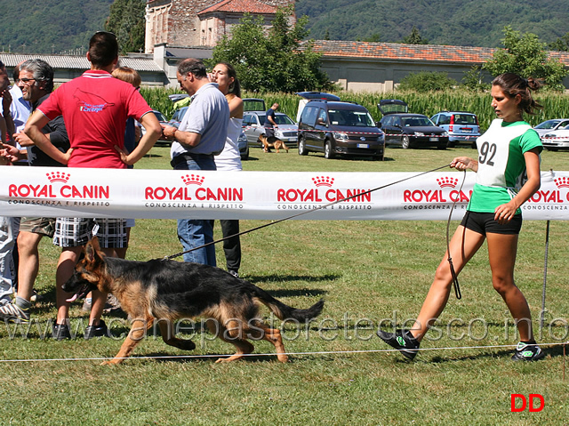 henni.jpg -  Henni condotta da Giulia Sonzogni 