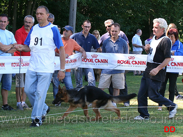 juniores-femmmine-ripanita.jpg -  Juniores femmine Ripanita