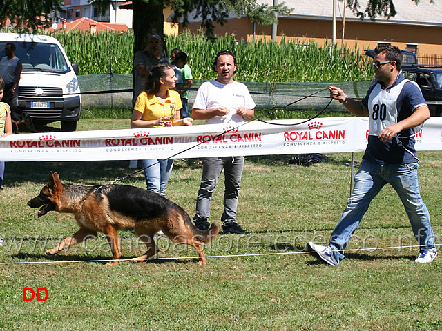 juniores-maschi-vito-di-ca-san-marco.jpg - Juniores maschi Vito di Ca' San Marco