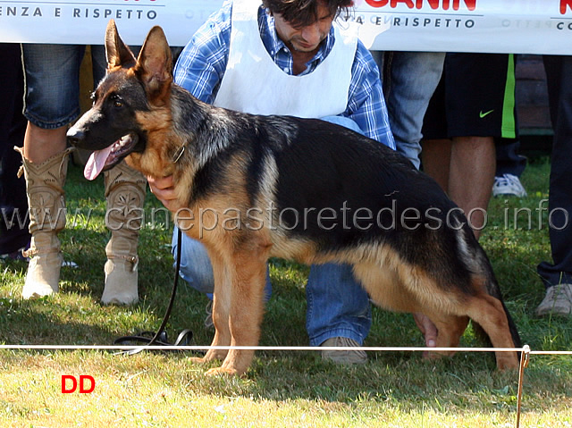 pedro-di-valmadrera-7mp-baby-maschi.jpg - Pedro di Valmadrera 7 MP Baby maschi 