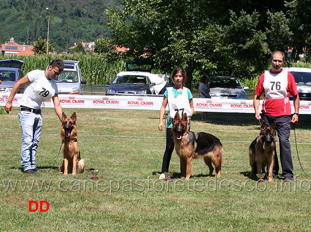 podio-cucciolone-femmine.jpg - Podio Cucciolone femmine