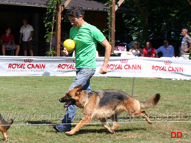 stefano-galastri-con-boogie-webachtal.jpg - Stefano Galastri con Boogie von Webachtal 