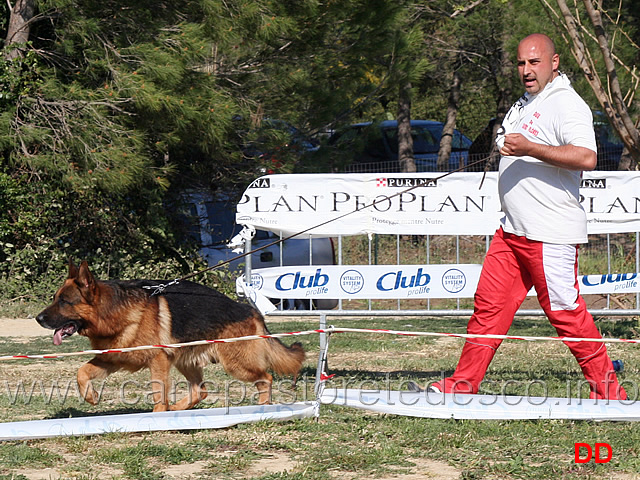 carlos-passa-in-prima-posizione.jpg - Carlos passa in prima posizione