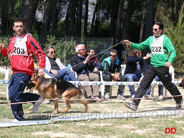 cuccioloni-maschi-fedor-di-nepetiae.jpg - Cuccioloni maschi Fedor di Nepetiae