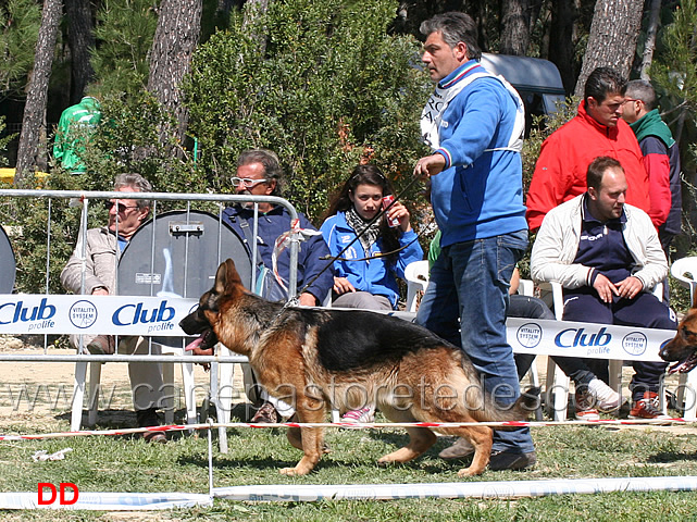 giovanissimi-maschi-max-.jpg - Giovanissimi maschi Max