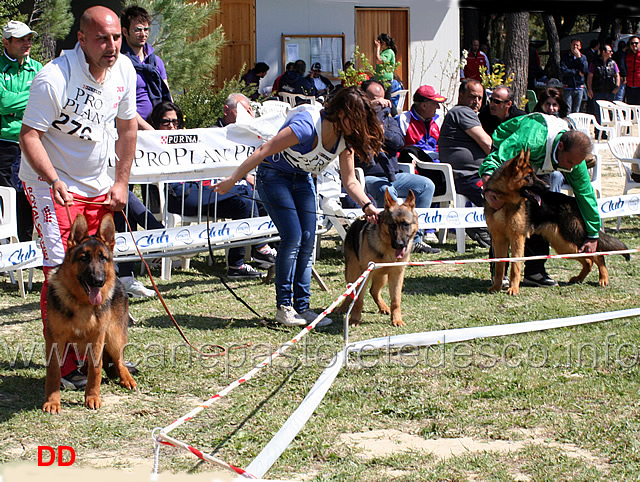 juniores-maschi.jpg - Juniores maschi Chicco, Ober di Ca' San Marco, Fedor di Zenevredo