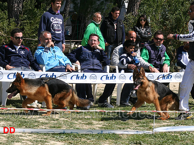 nora-di-casa-pellicani-cleo-di-casa-massarelli.jpg -  Di Casa Pellicani Nora e Cleo di Casa Massarelli 