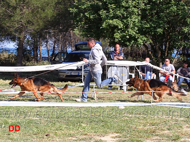 rambo-ritorna-al-primo-posto.jpg - Rambo Zellwaldrand ritorna in prima posizione