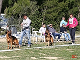 lavoro-maschi-rambo-zellwaldrand-e-cos-della-grande-valle