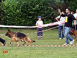 lavoro-maschi-dino-di-casa-nobili