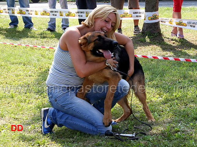 ginger-di-chiaromantello-5mp-juniores-femmine.jpg - Ginger di Chiaromantello 5 MB Juniores femmine con la sua allevatrice Sabrina Botticelli