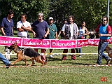 cucciolone-femmine-hortensia-perlaelle