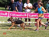 cucciolone-femmine-iana-di-casa-pastori