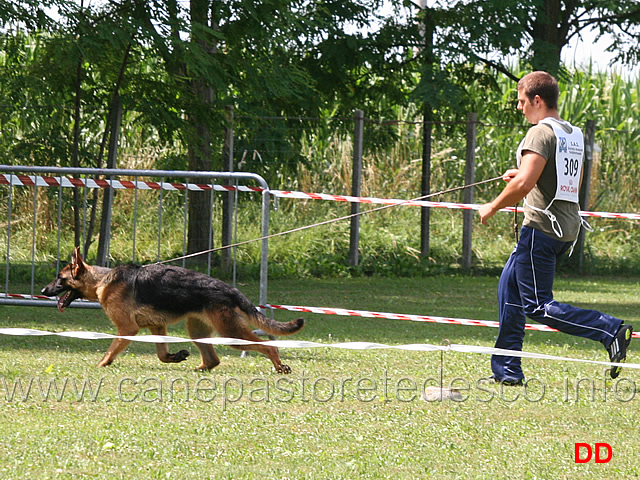 benny-della-padana-vescovana-02.jpg - Benny della Padana Vescovana