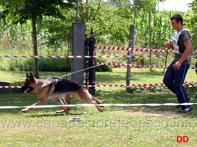 giovanissimi-maschi-valdo-della-padana-vescovana.jpg - Giovanissimi maschi Valdo della Padana Vescovana