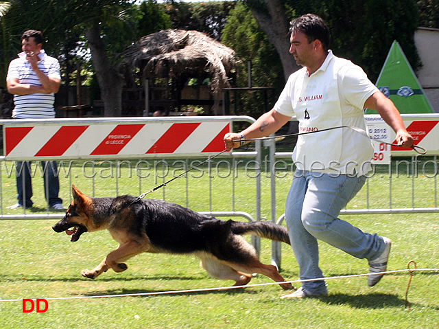 juniores-maschi-ron.jpg - Juniores maschi Ron 