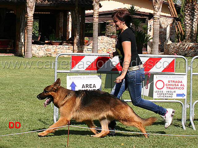 lavoro-maschi-max-di-cariddi.jpg - Lavoro maschi Max di Cariddi 