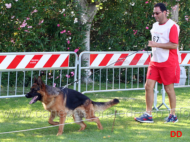 lavoro-maschi-vitor-casa-adamo-02.jpg - Partenza Lavoro maschi Vitor Casa Adamo 