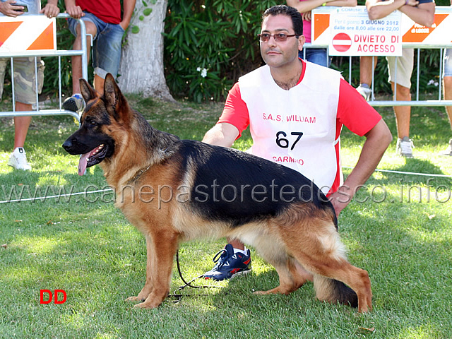 vitor-casa-adamo.jpg - Lavoro maschi Vitor Casa Adamo 