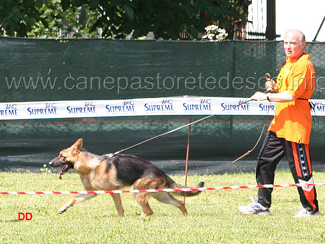 027.jpg - Classe Juniores femmine Tinca Frutteto