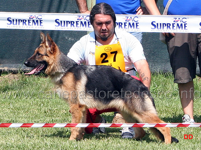 032.jpg - Classe Juniores femmine Lua del Seprio