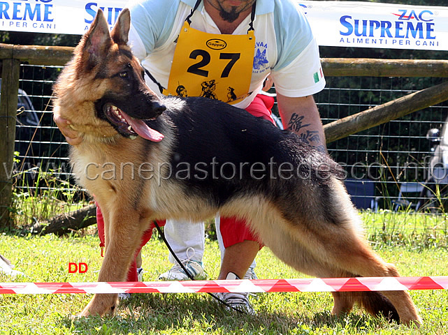 035.jpg - Classe Juniores femmine 3 Lua del Seprio