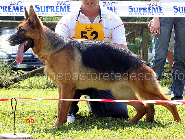 036.jpg - Classe Juniores femmine 4 Vanessa del Catone