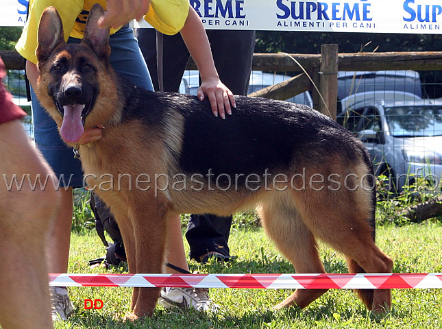 037.jpg - Classe Juniores femmine 5 Birba della Vignazzola