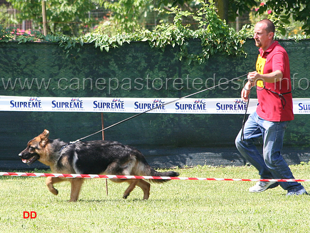 054.jpg - Classe Juniores maschi Aiko delle Tre Arcate