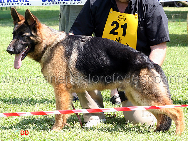 058.jpg - Classe Juniores maschi 2 Norik