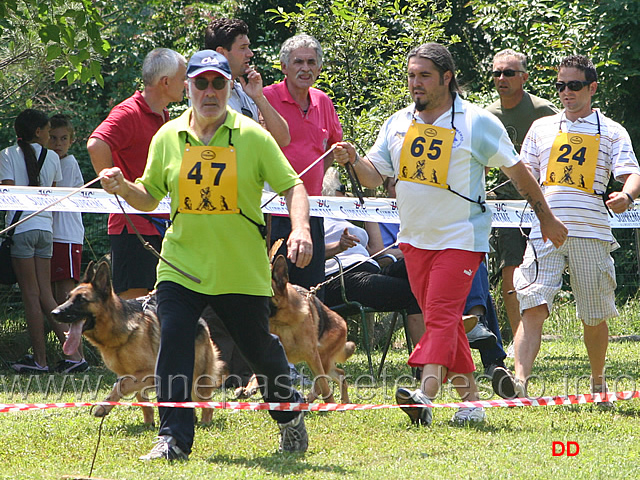 104.jpg - Classe giovanissime femmine Ariel Alfons David, Quentin Fontain Blu