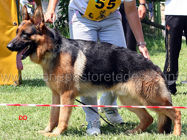 125.jpg - Classe giovanissimi maschi 1 Brix di Casa Pastori