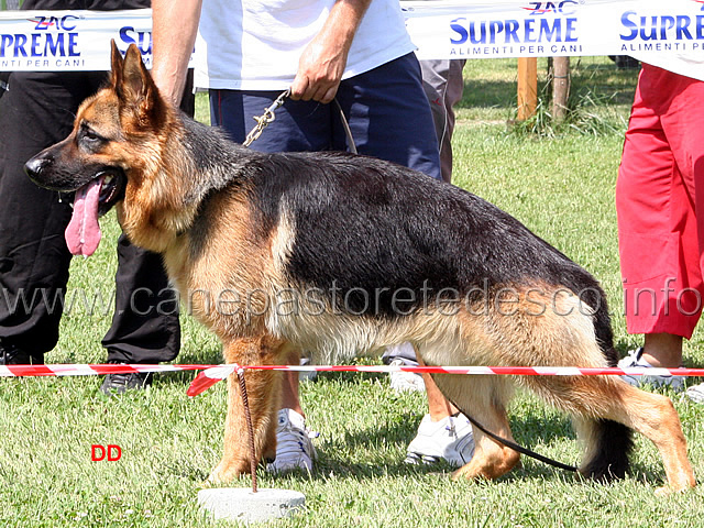 127.jpg - Classe giovanissimi maschi 3 Cielo